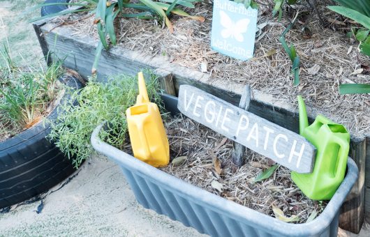  In the Summer months our vegie patch comes alive